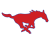 SOUTHERN METHODIST